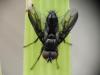 309887 – Photo : Mathis Garro – France (83)